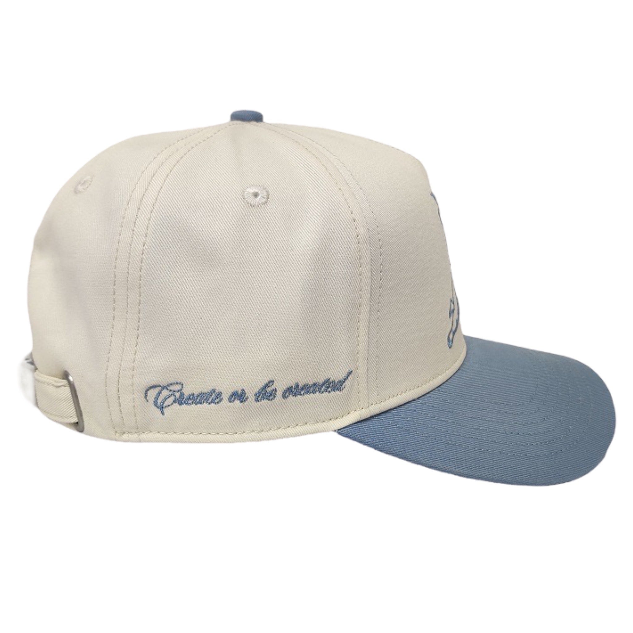 Sure Shot Hat - RD CEMENT BLUE / BONE