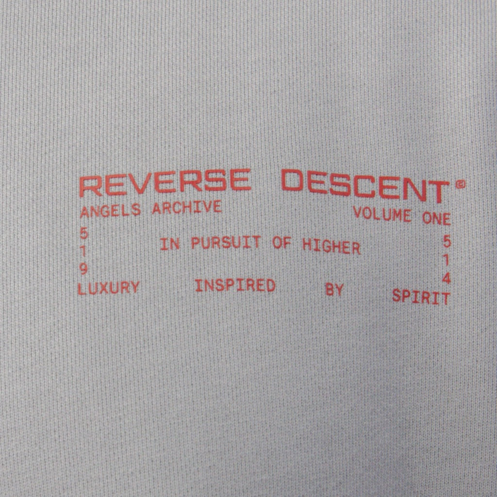 RD Core Hoodie V1 - INFRARED